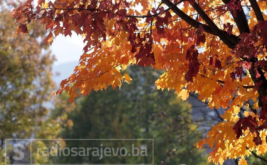 Tek u jesen otkriju se boje krošanja: Sarajevo kroz objektiv fotografa